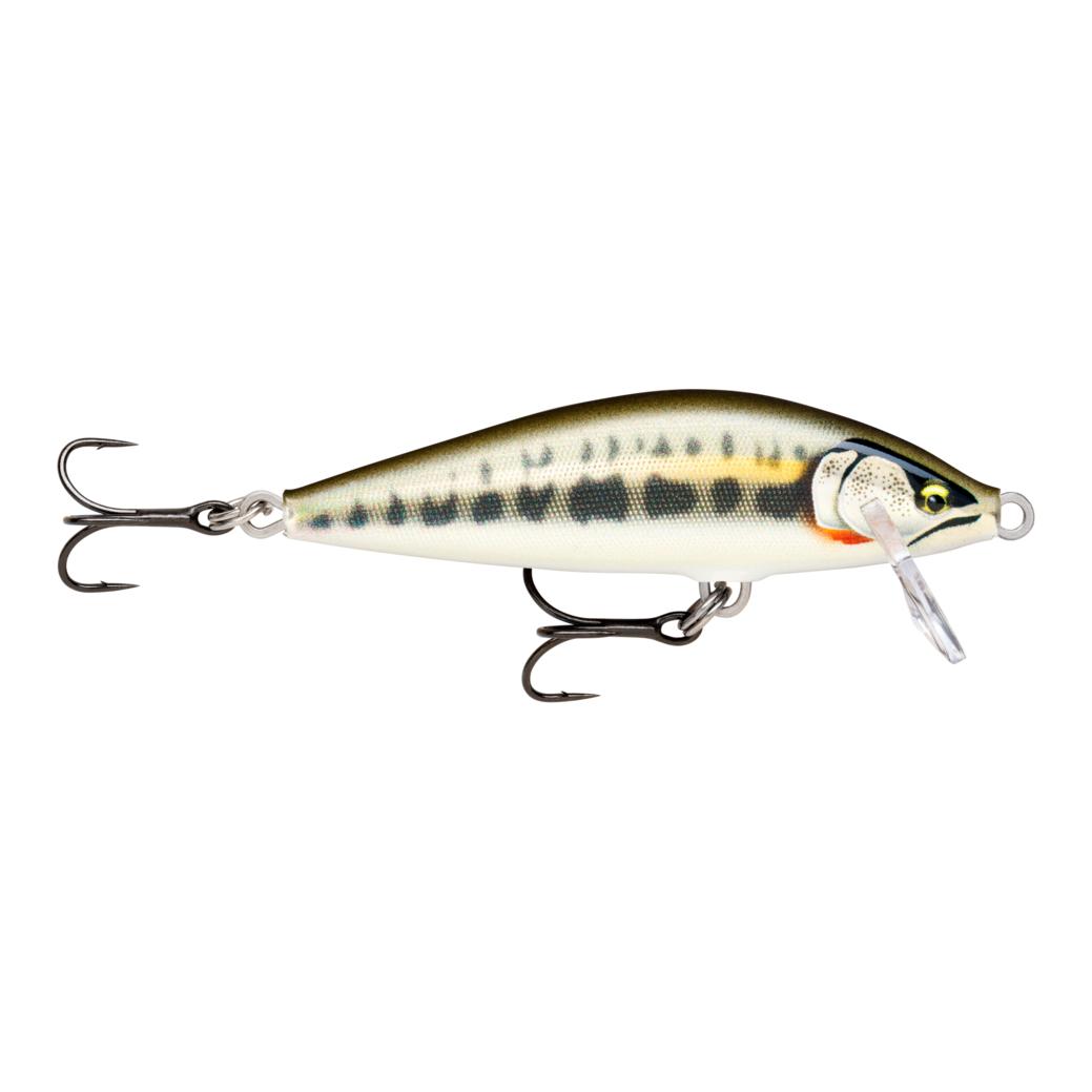 Gilded Minnow