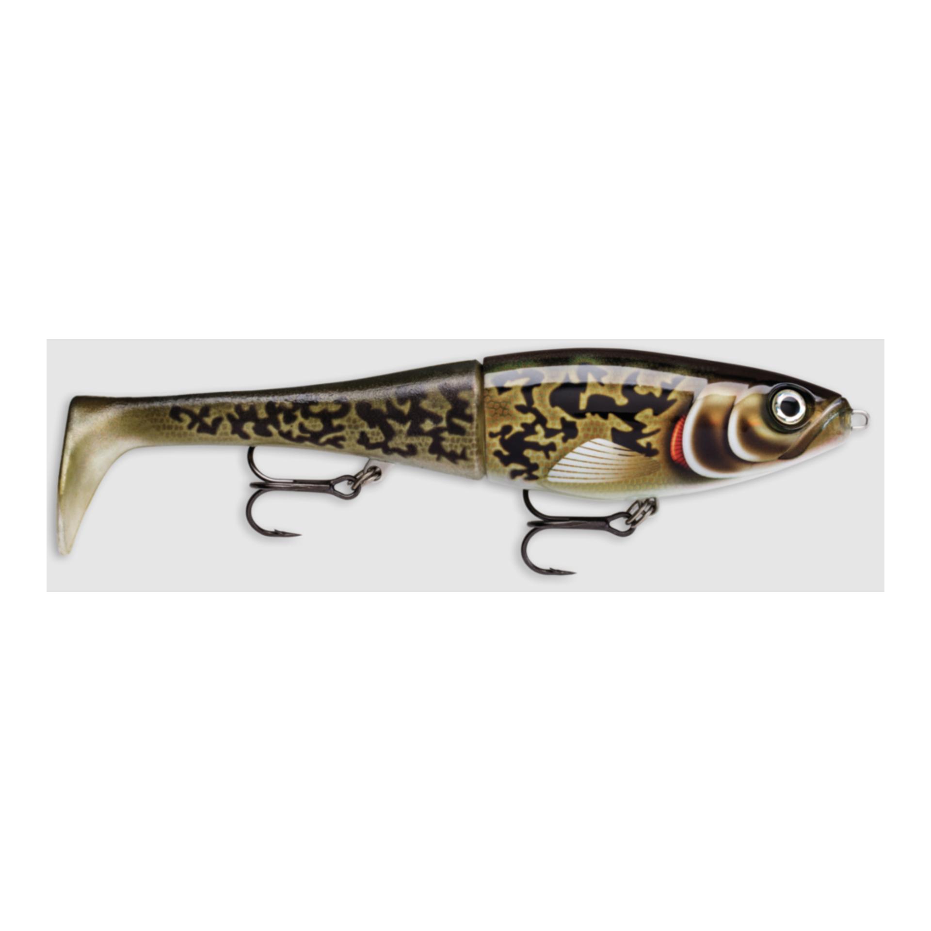 Artistic Burbot