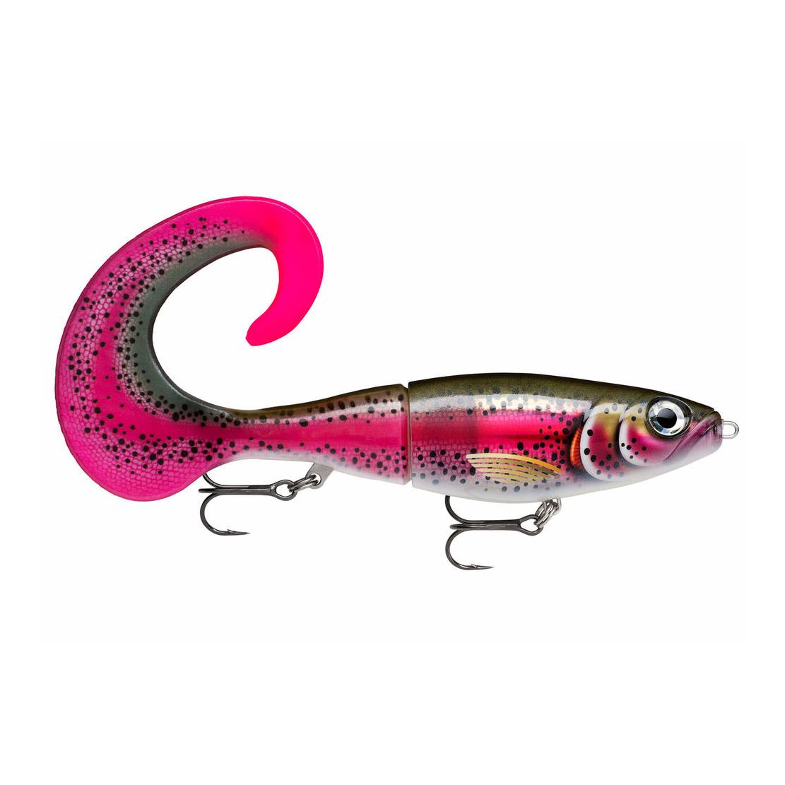 Live Rainbow Trout