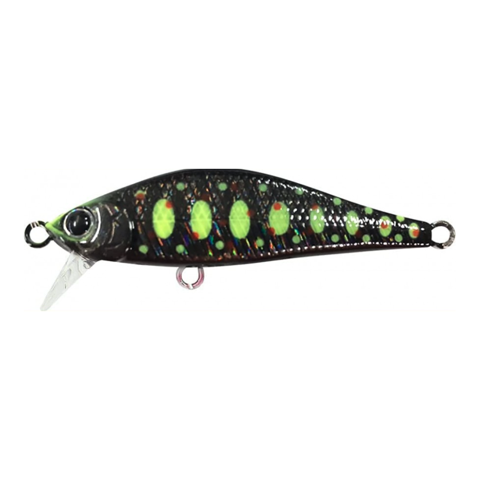 Pointer 50 SS - Wobbler