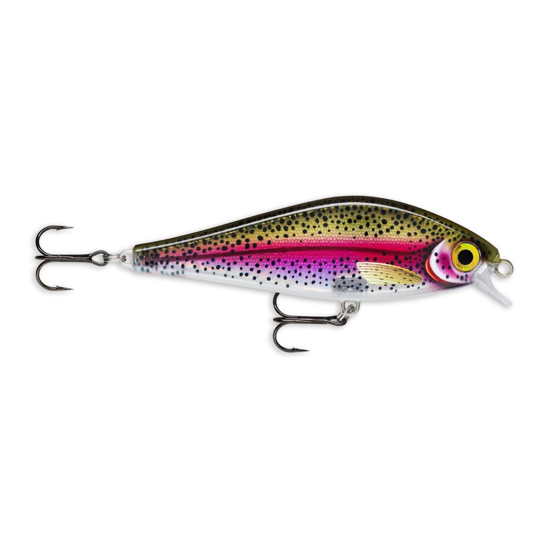Live Rainbow Trout