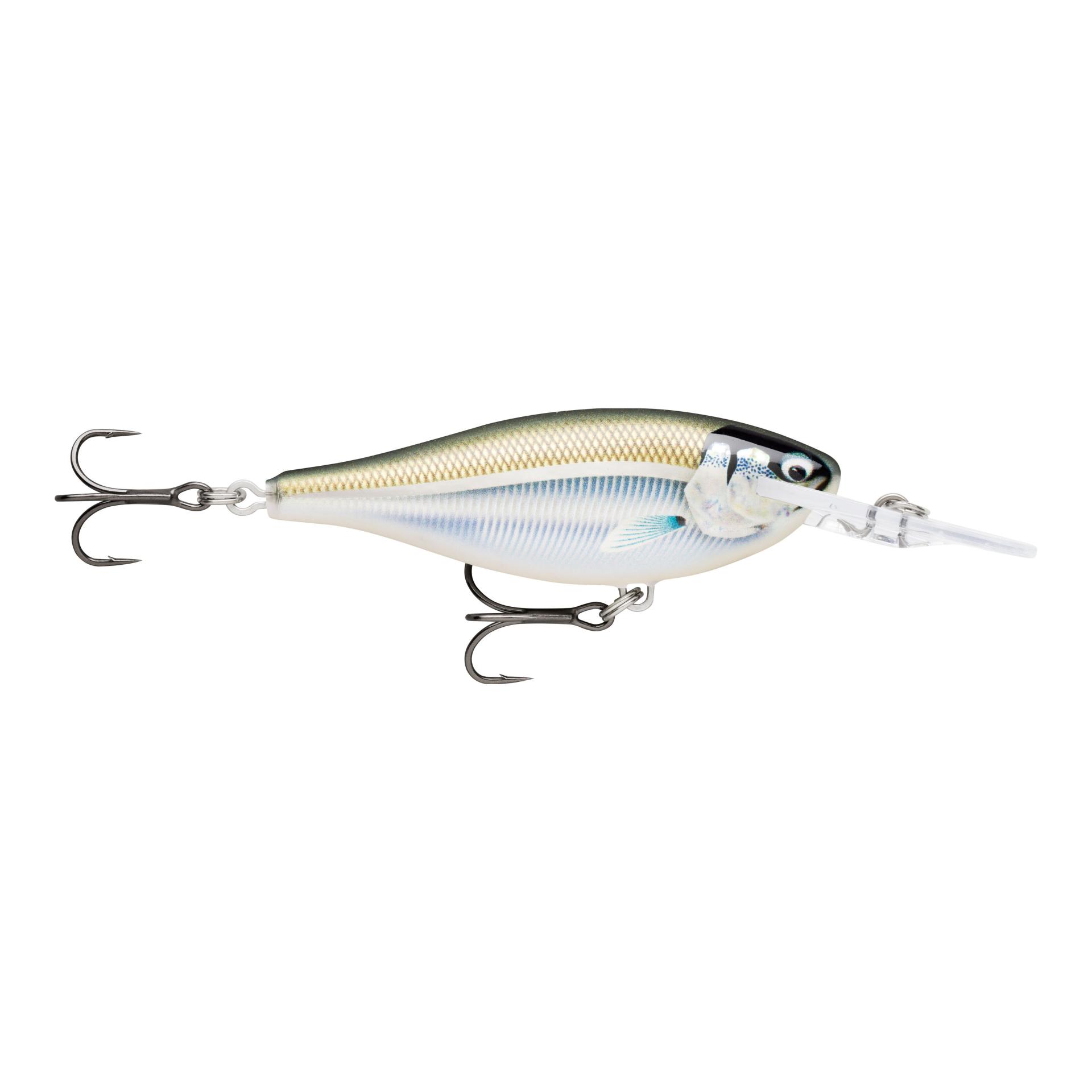 Gilded Minnow
