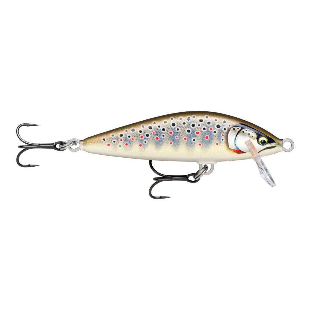 Gilded Brown Trout