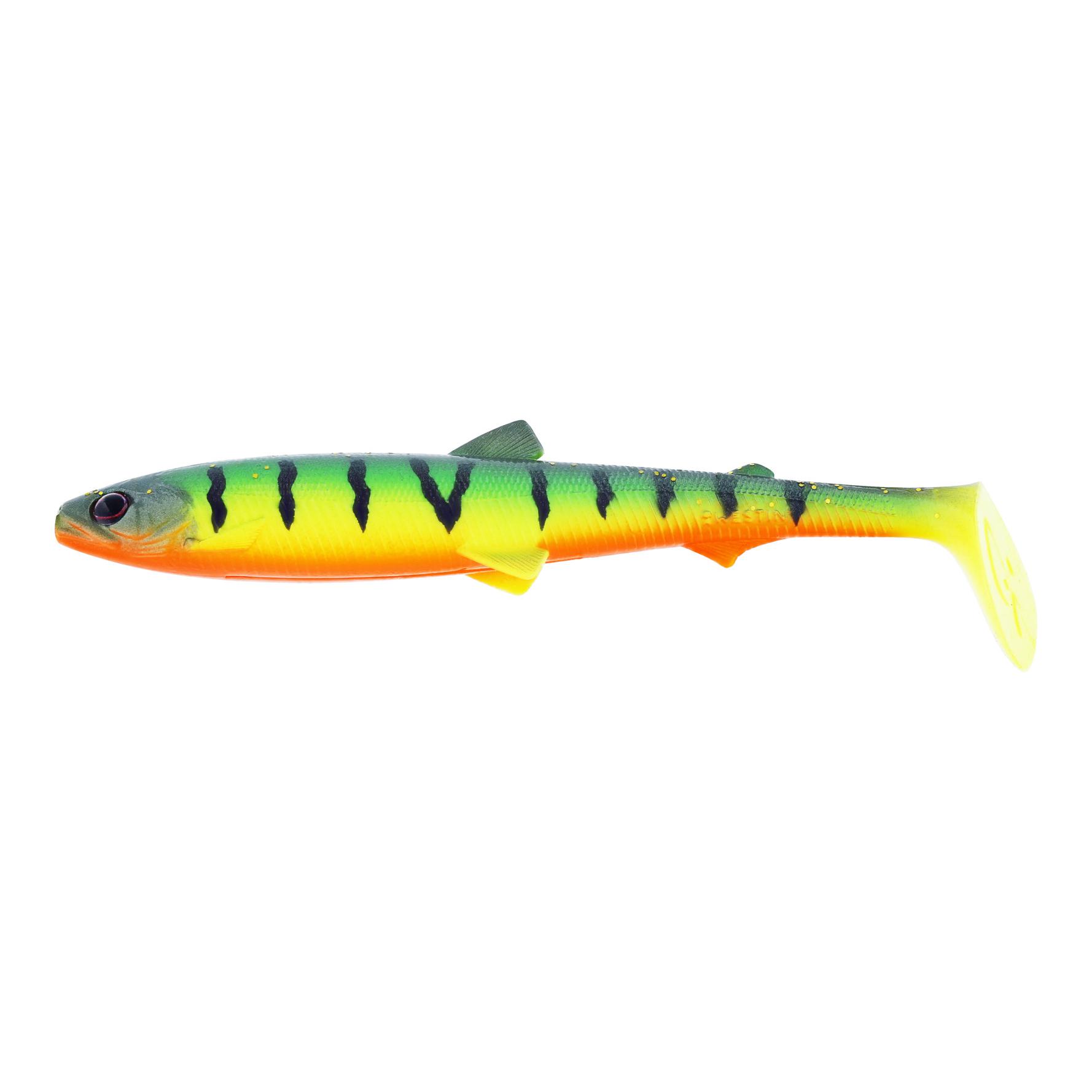 Tiger Perch