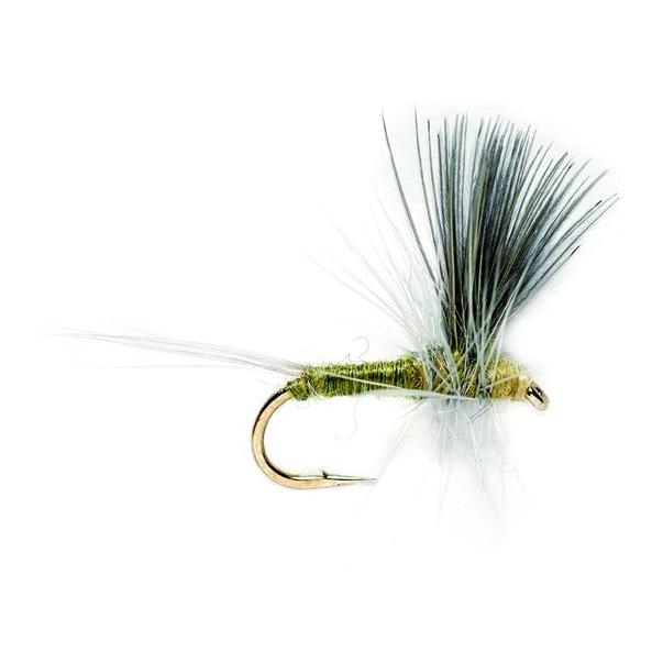Thorax BWO - Trockenfliege - Image du produit 1