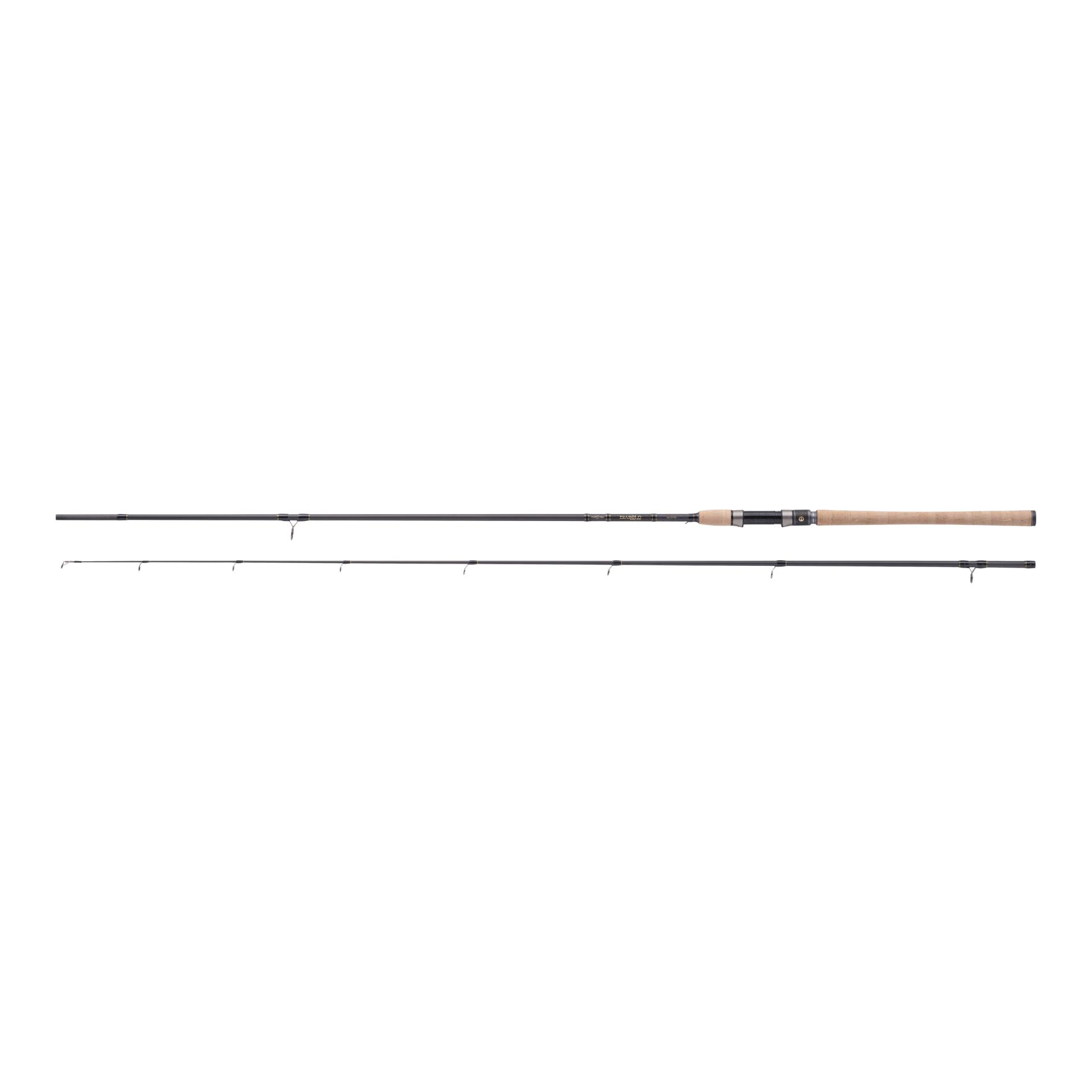 Diabolo Golden Circle Rainbow Trout - Spinnrute - Produktbild 1