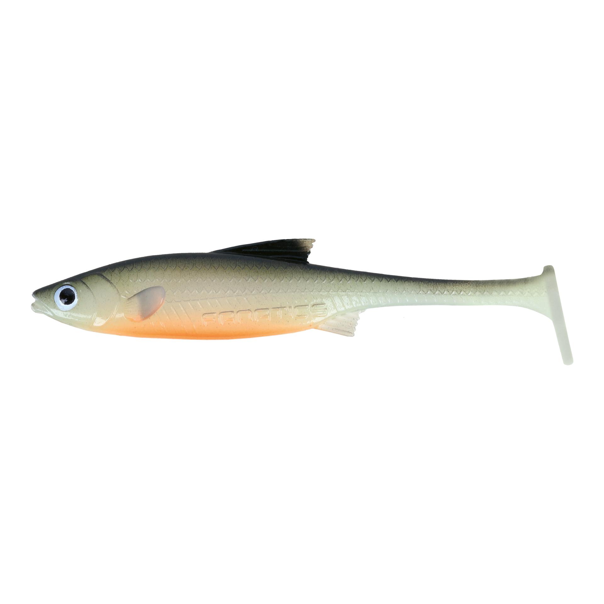 Real Rider Paddle Tail 17/24- Gummiköder - Image du produit 1