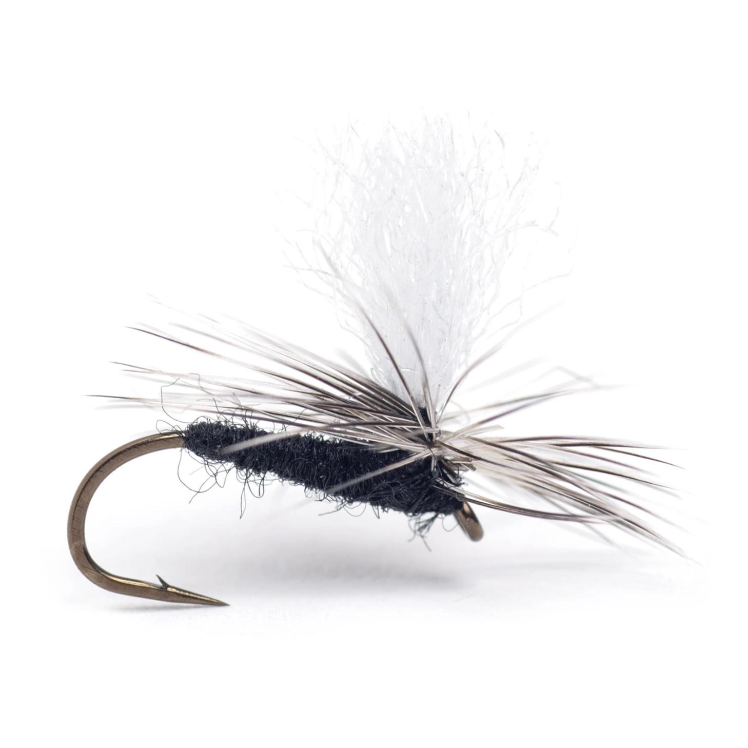 Guideline Rena Midge