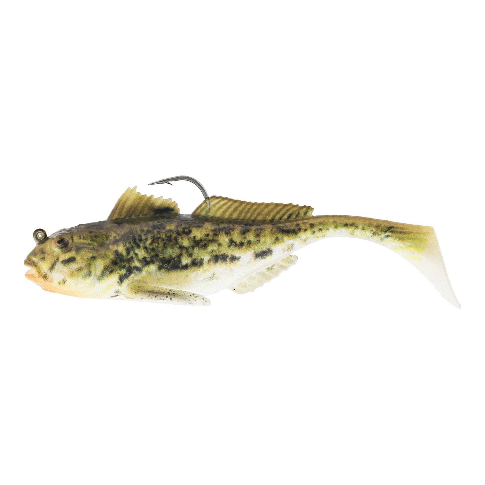 Spotted Goby