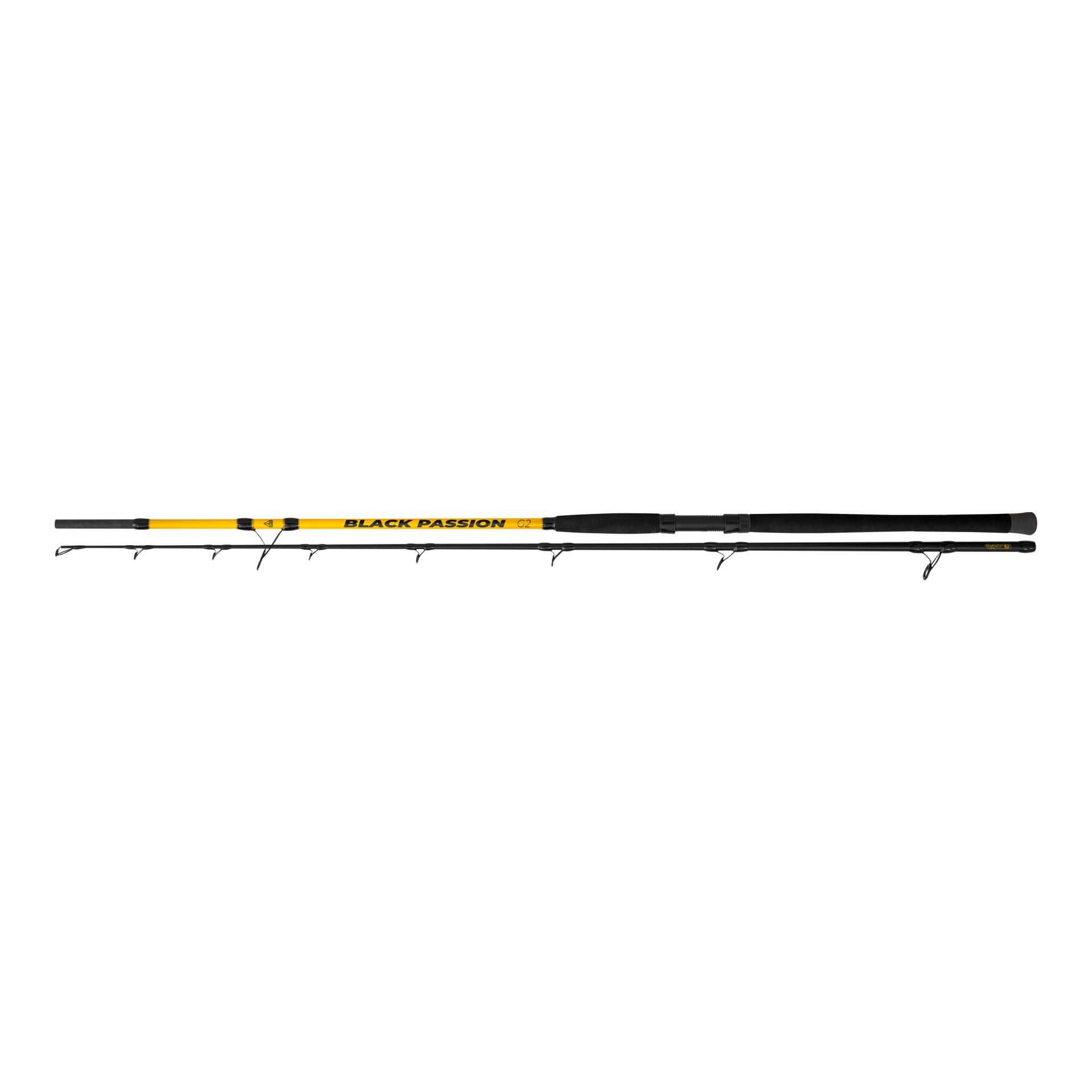 Black Cat Black Passion G2 Allround 2,70 m – Welsrute