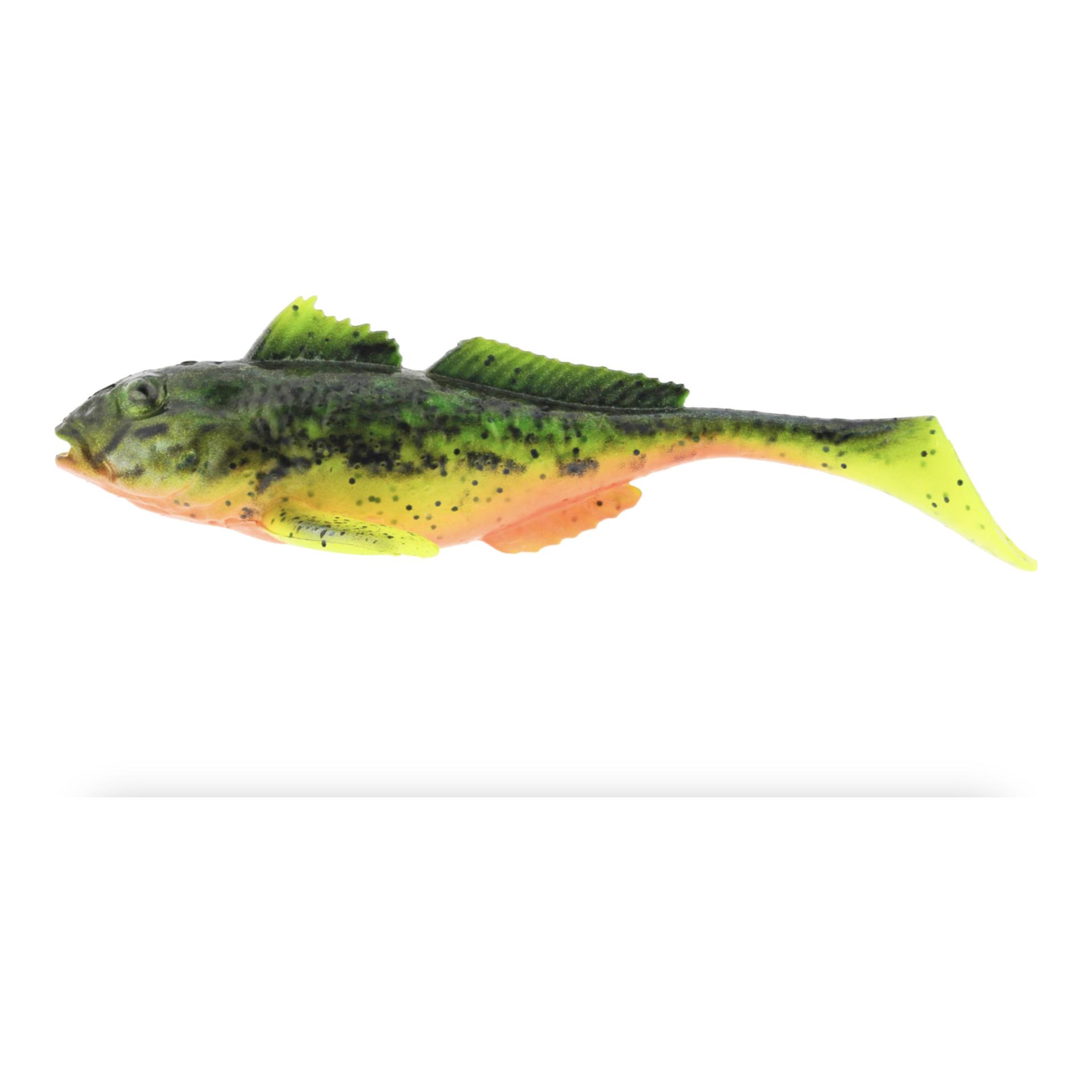 Fire Goby