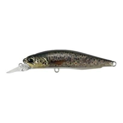 Brown Trout ND
