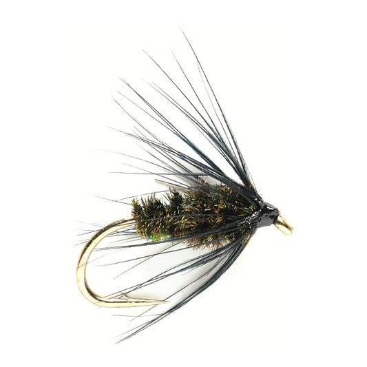 Black & Peacock Spider - Nassfliege