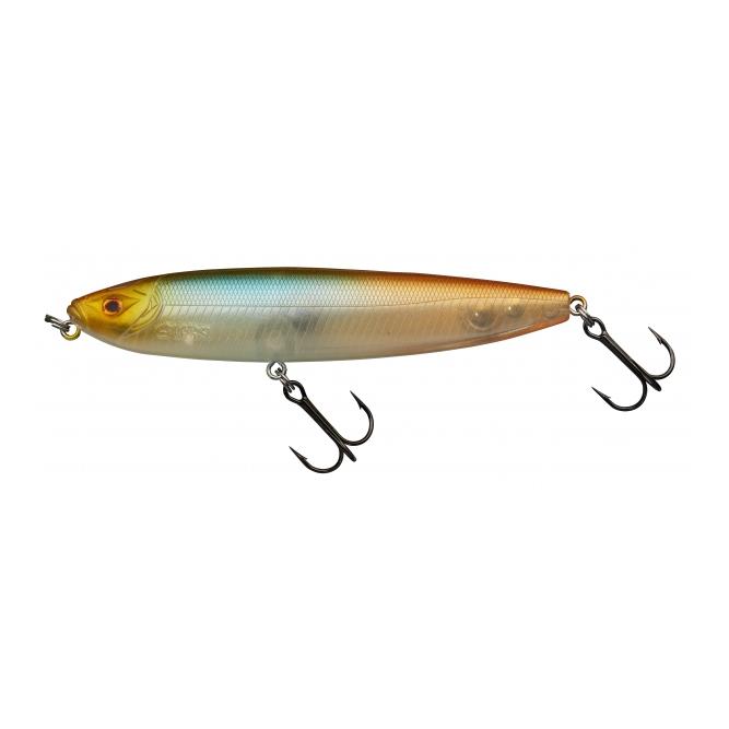 Star Minnow