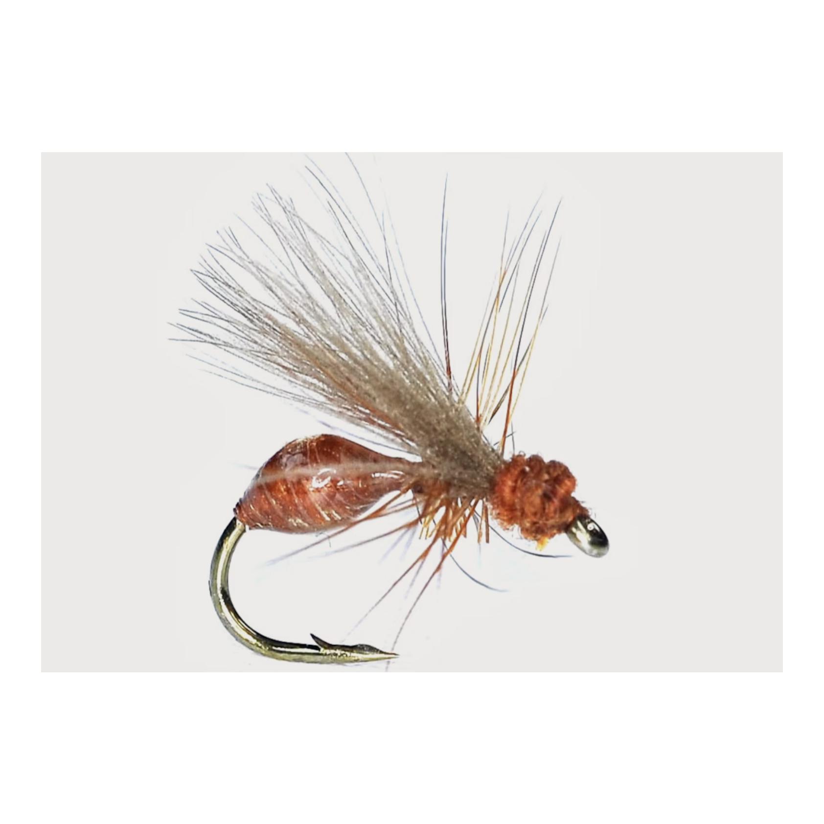 Rusty Brown