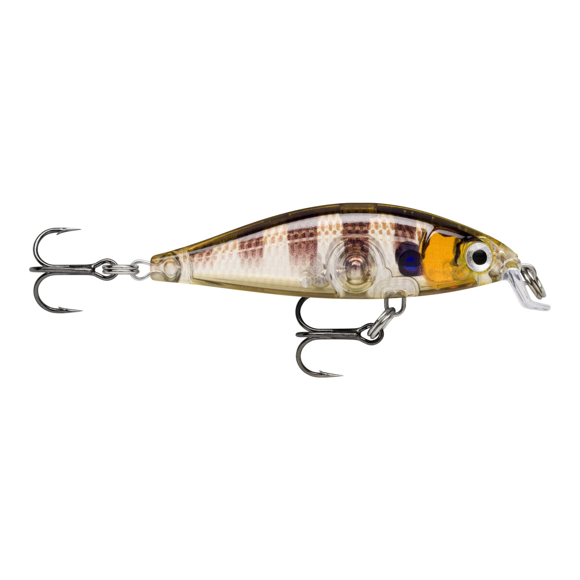 Glassy Gill UV