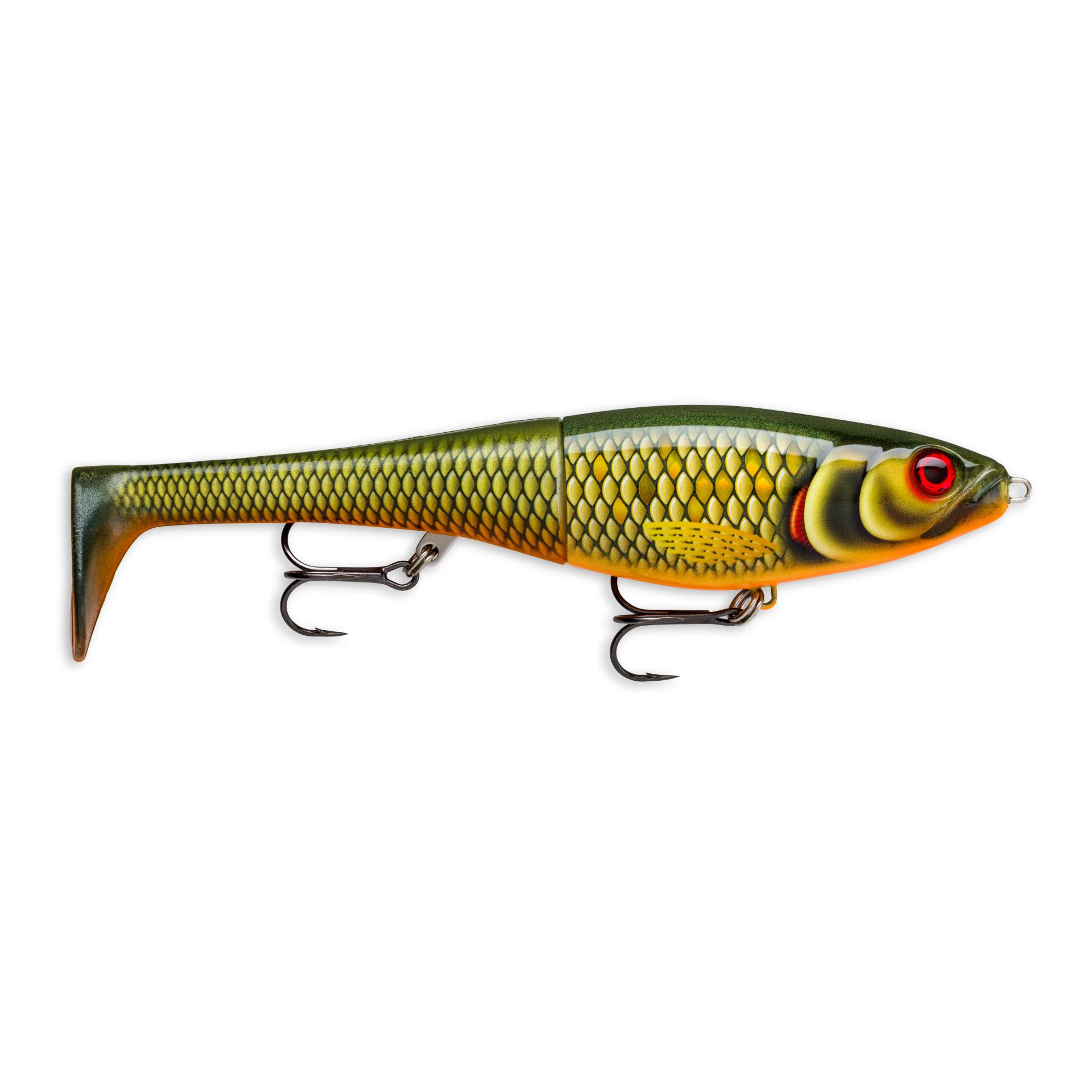 Scaled Roach