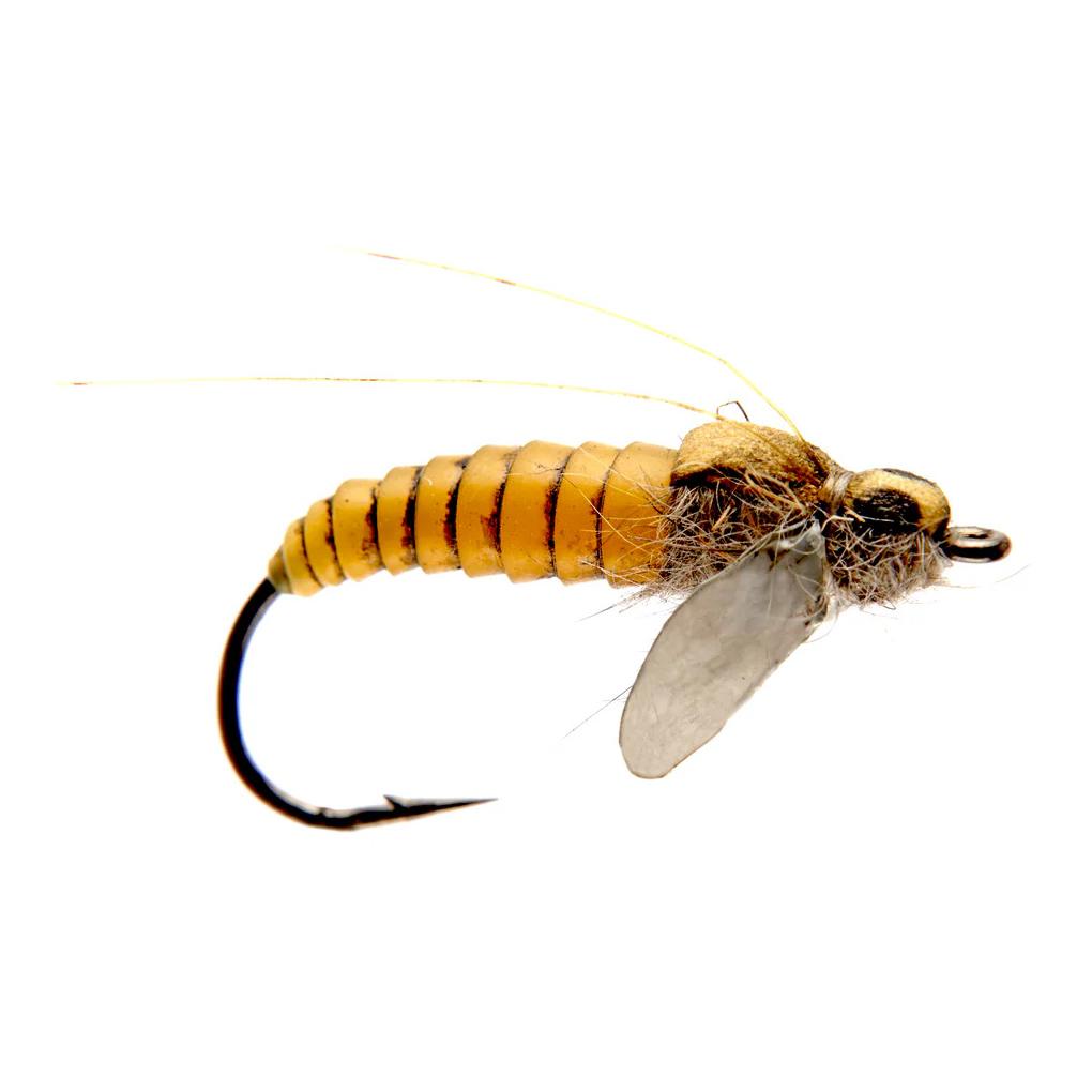 Caddis Pupa - Nymphe - Produktbild 1
