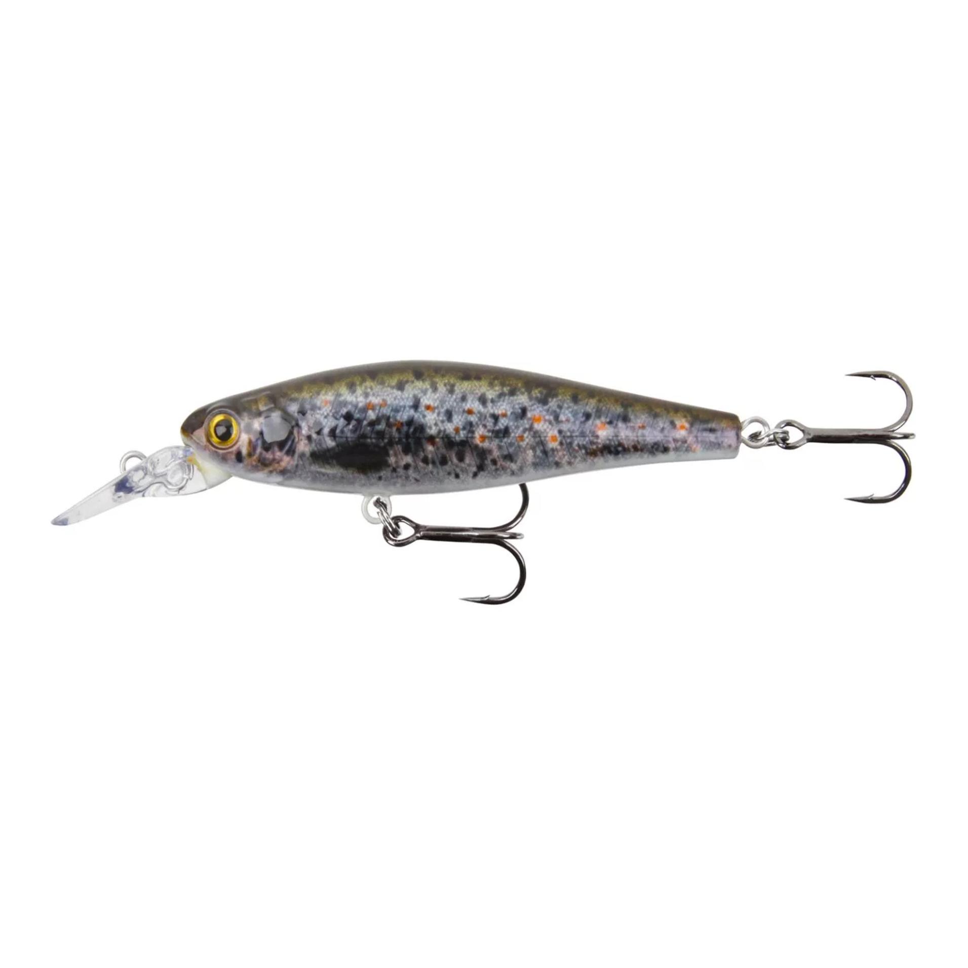 Trout