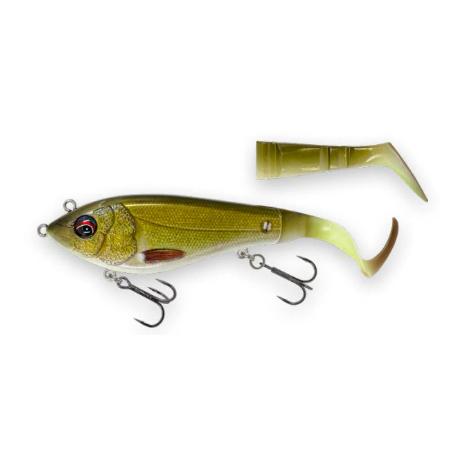 Tench