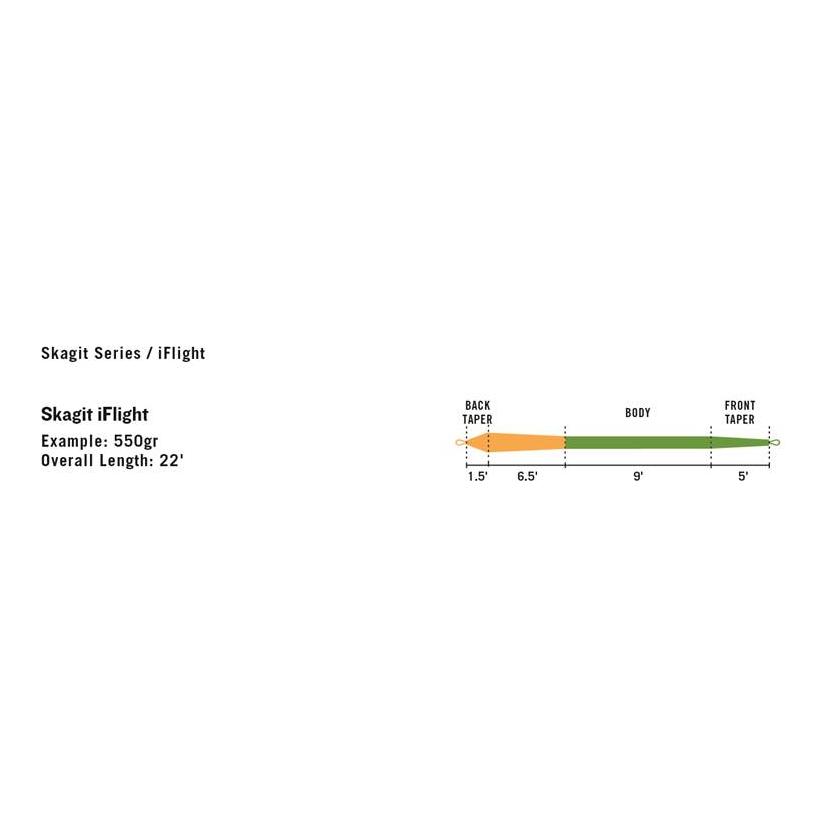 Skagit iFlight Shooting Head - Schusskopf - Produktbild 2