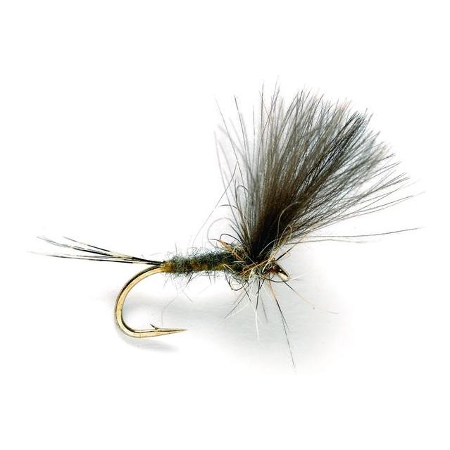 CDC Olive Dun - Trockenfliege - Image du produit 1