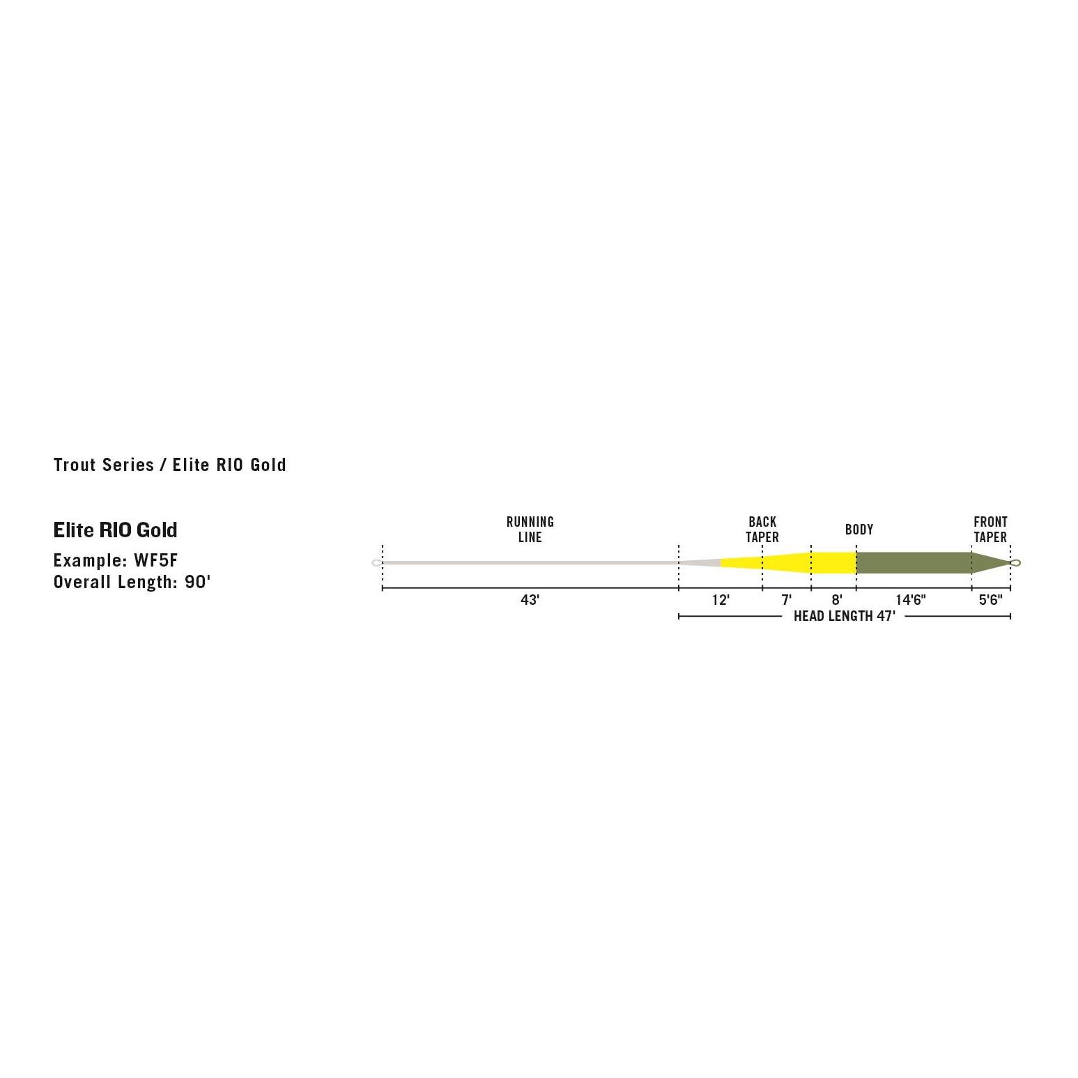 Gold Elite WF-F - Fliegenschnur - Produktbild 3