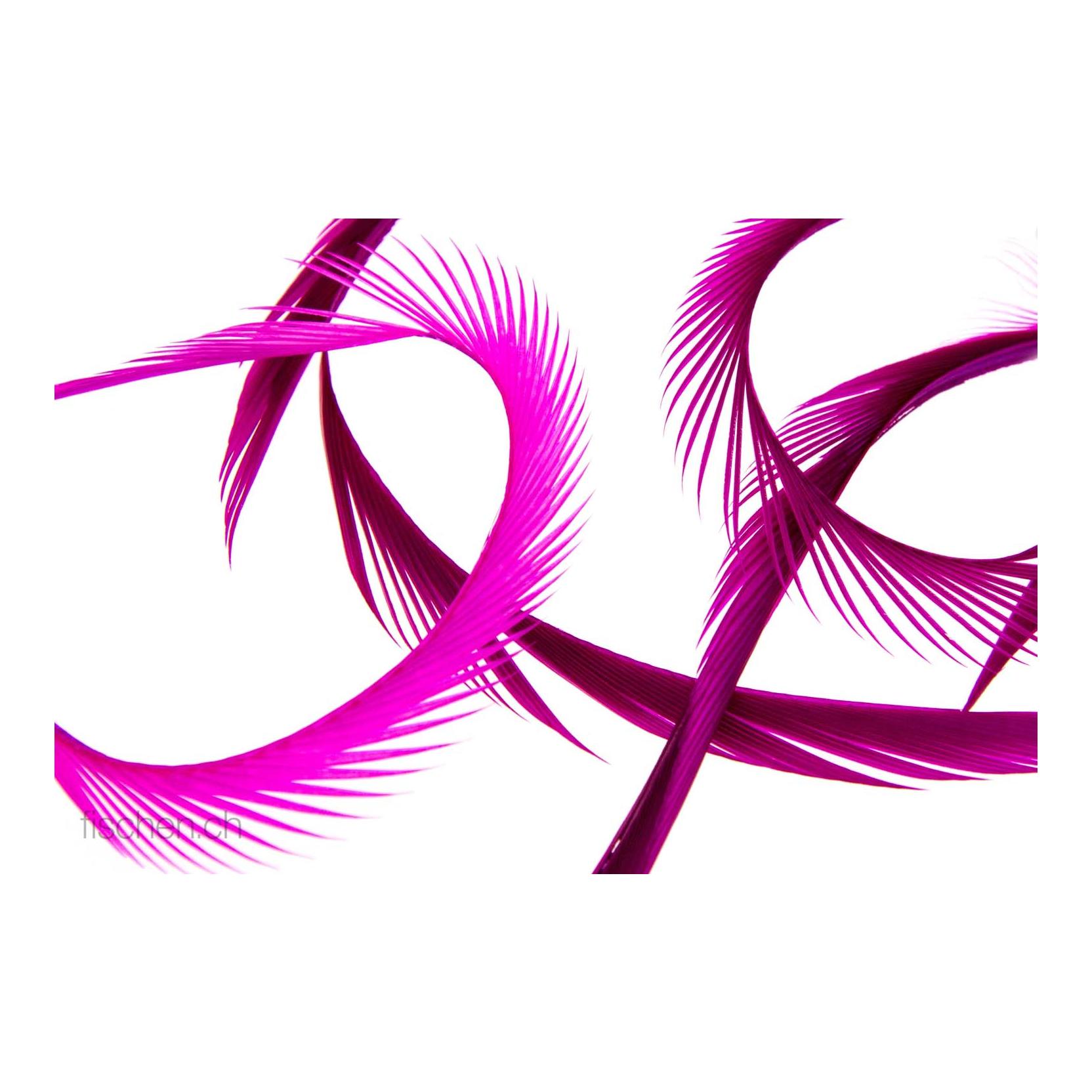 Fluoro Pink