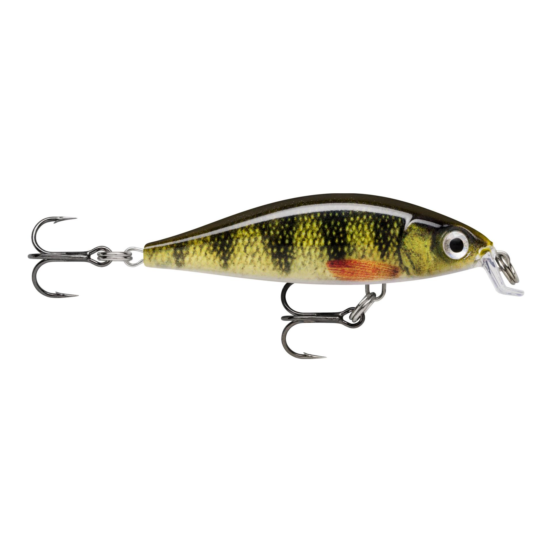 Live Perch