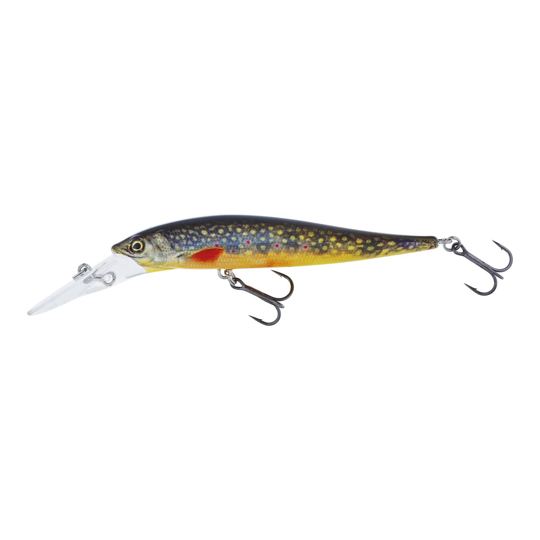 Brook Trout Fry