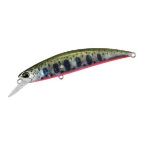 Yamame Red Belly
