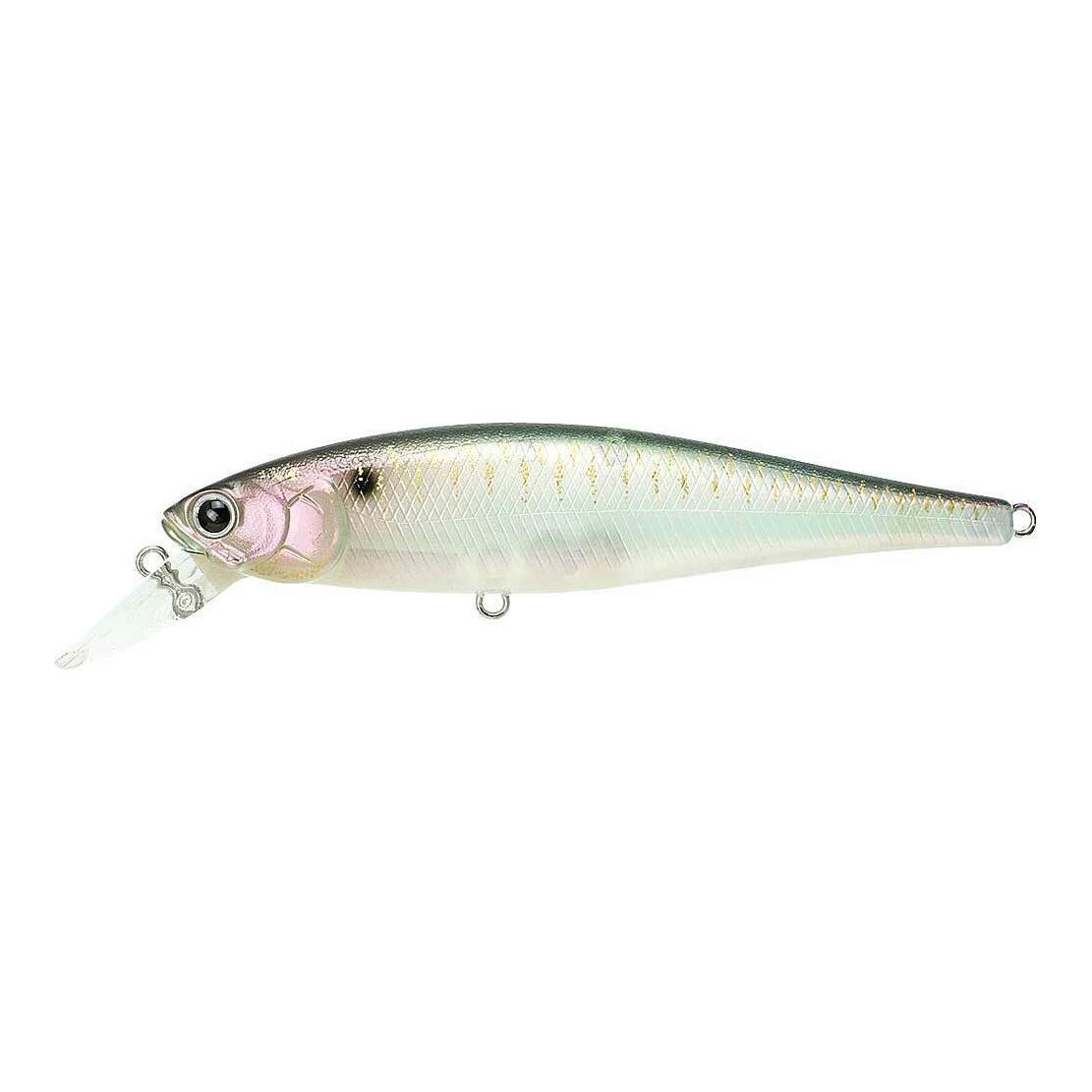 Live Pearl Shad