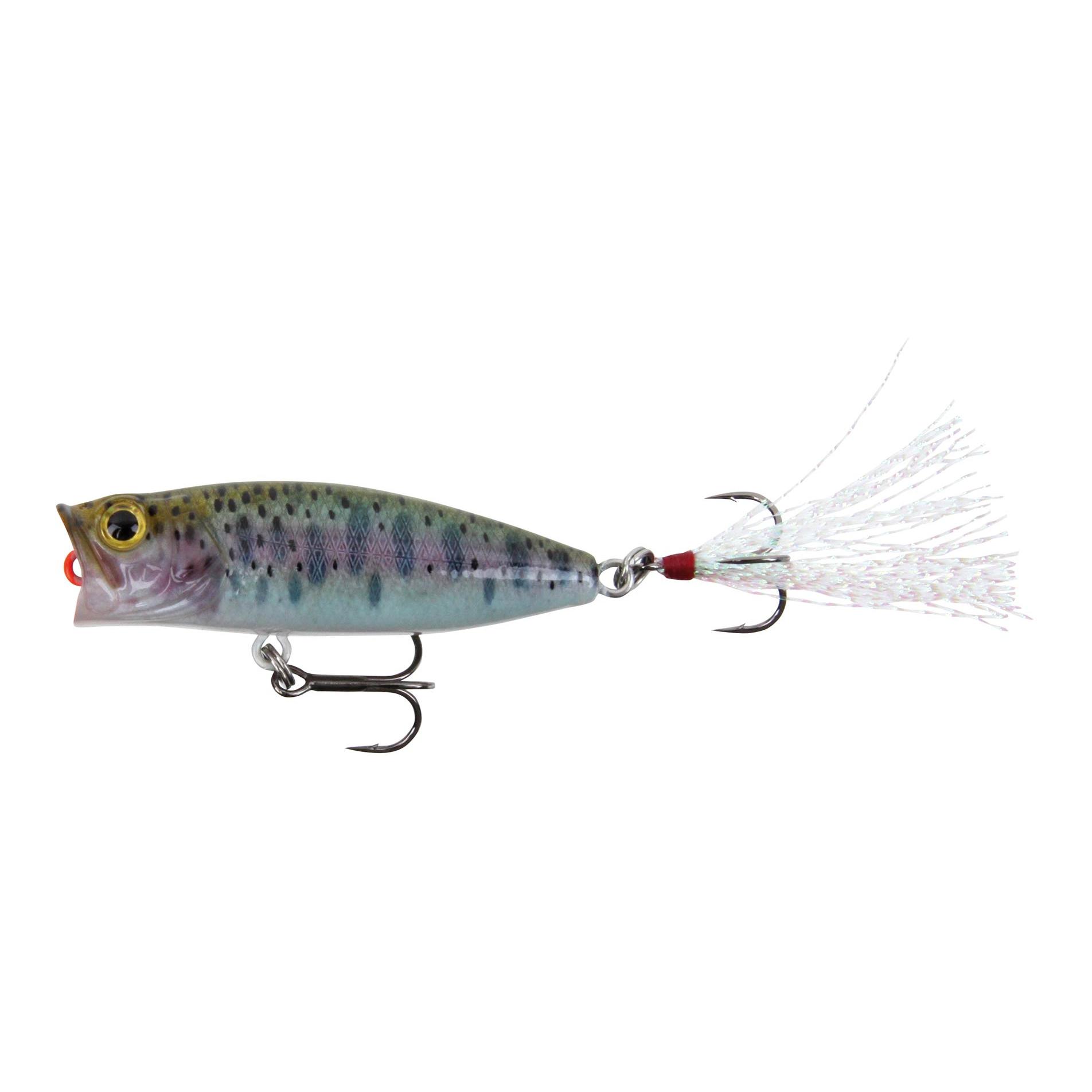 Rainbow Trout