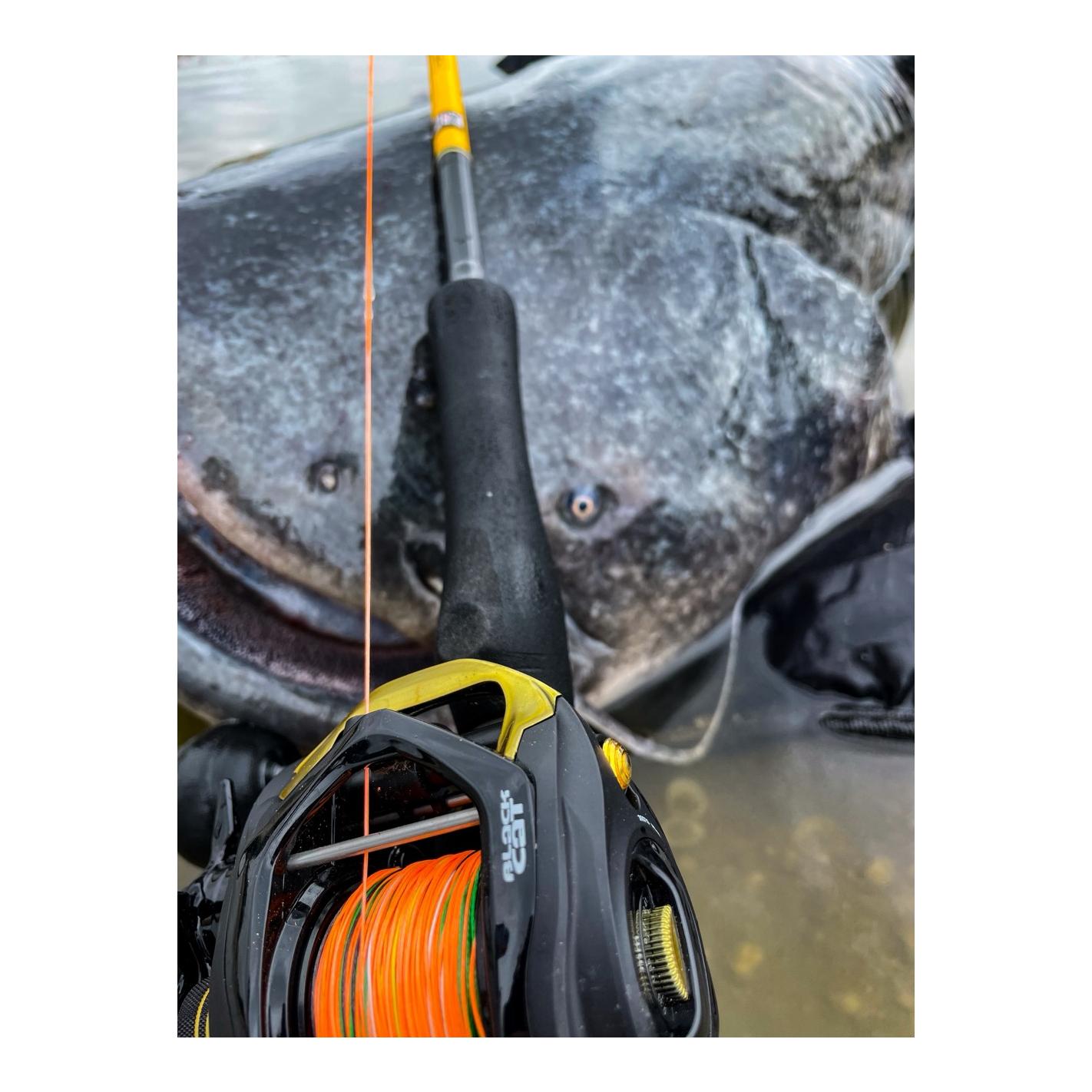 Cast 301 LH - Linkshand-Baitcaster - Produktbild 5