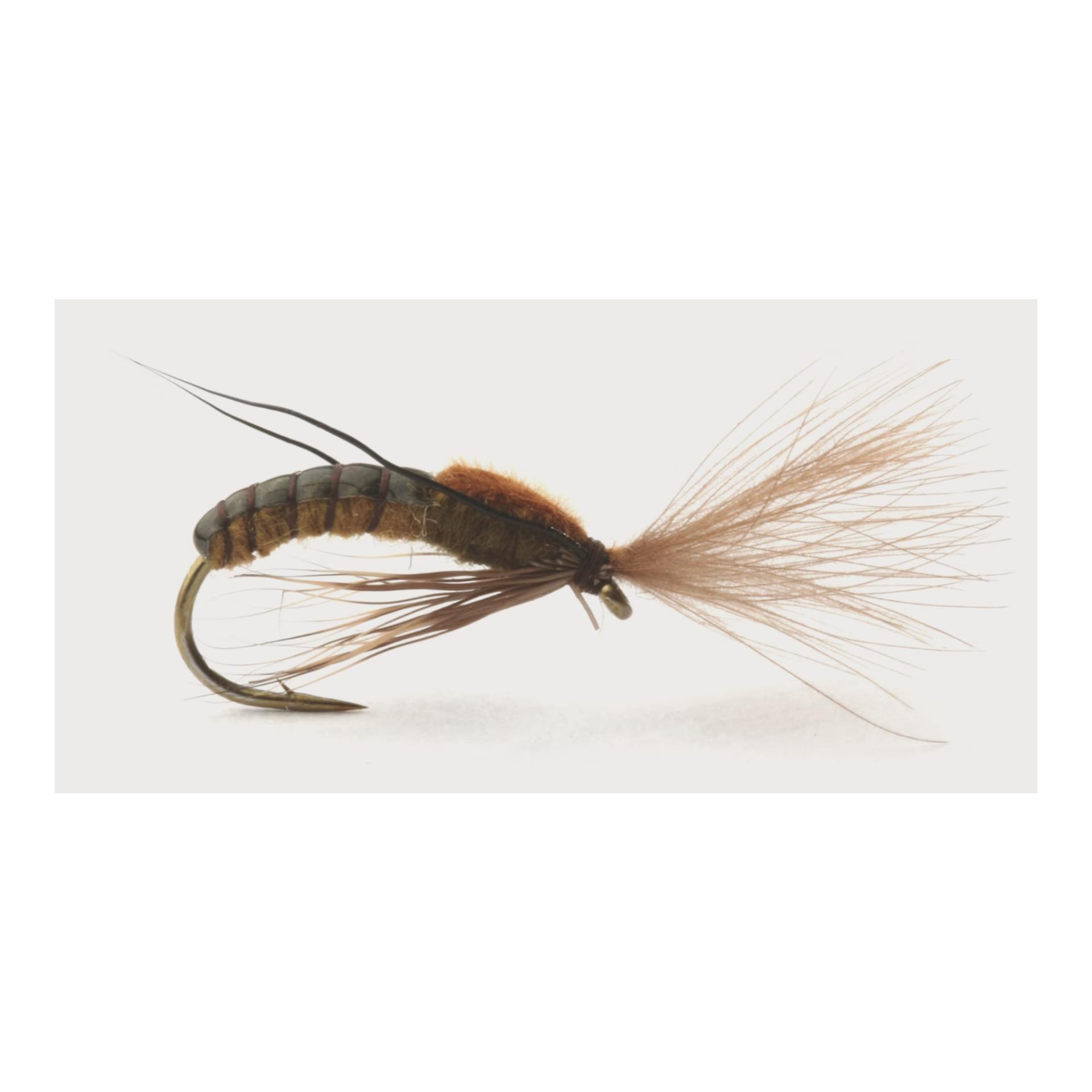 Super Emerging Caddis - Produktbild 1