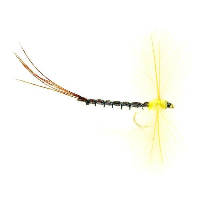 CDC Spent Mayfly - Trockenfliege
