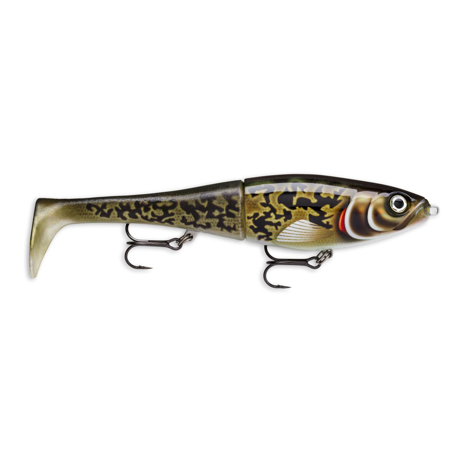 Artistic Burbot