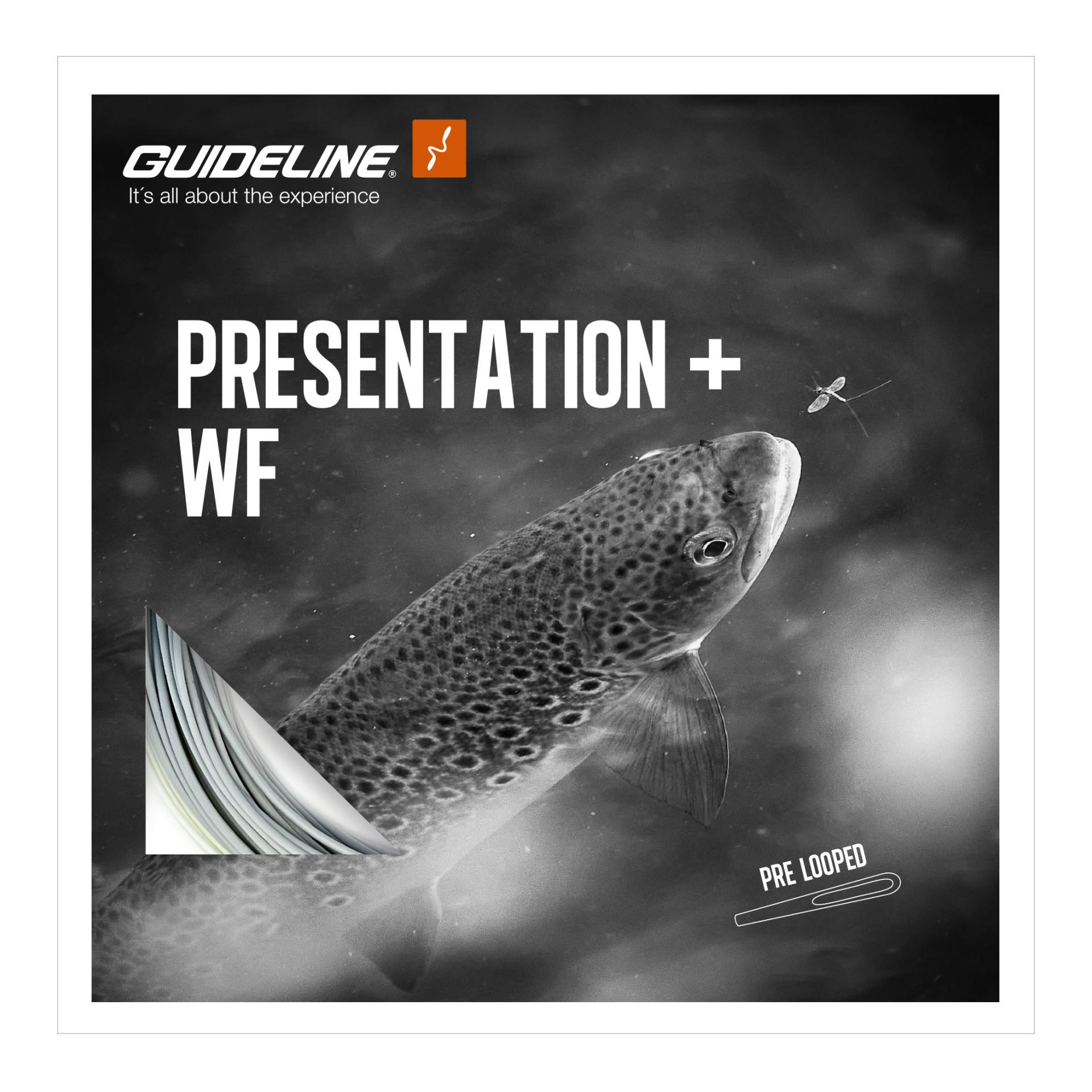 Presentation+ WF/F - Fliegenschnur - Produktbild 1