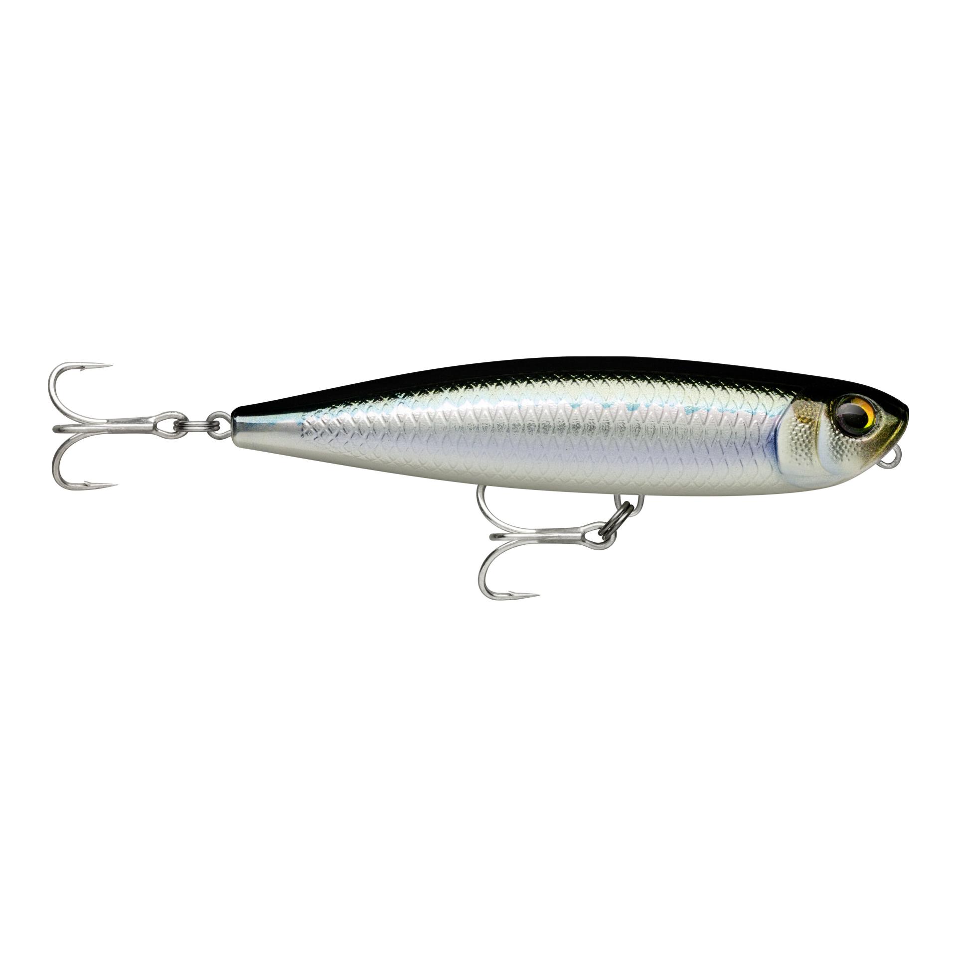 Tarpon