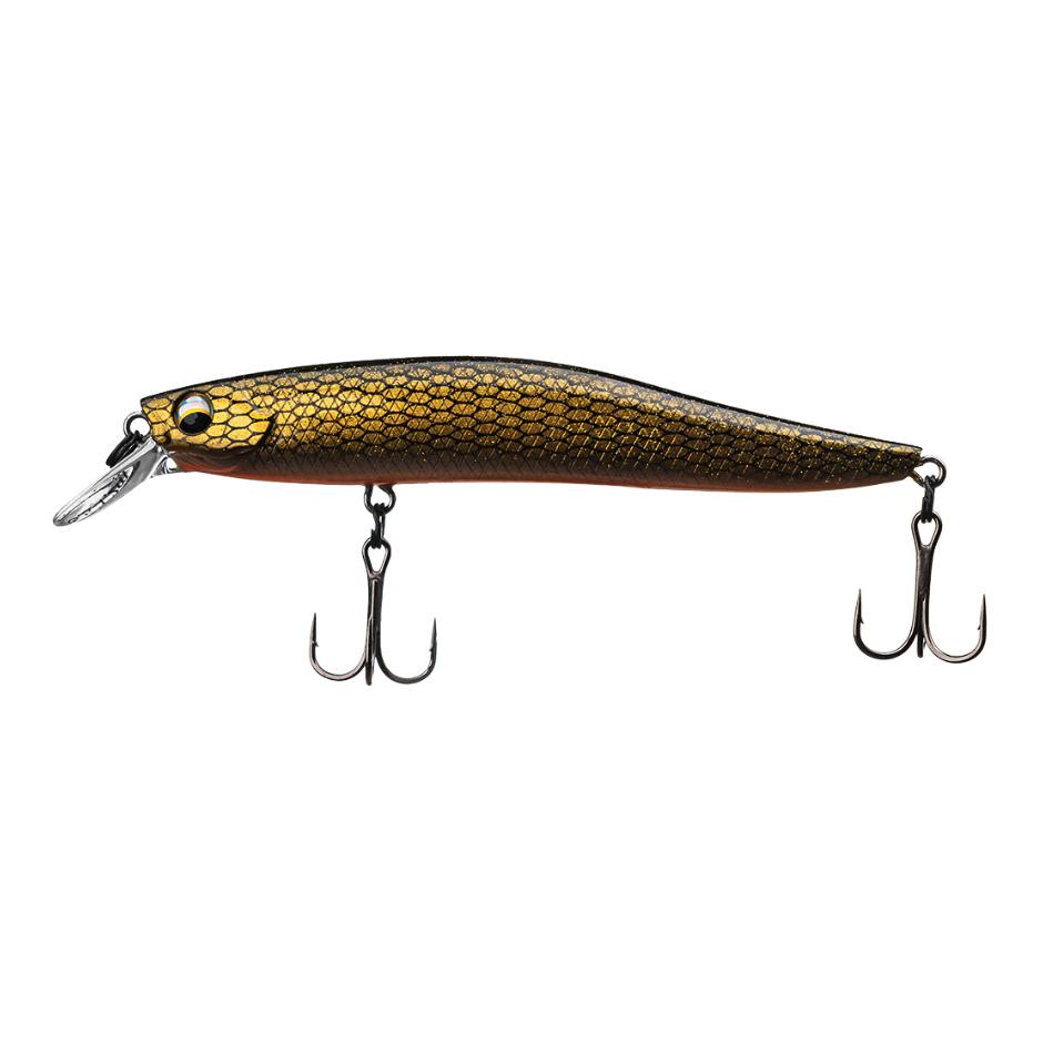 Golden Roach