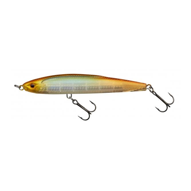 Star Minnow