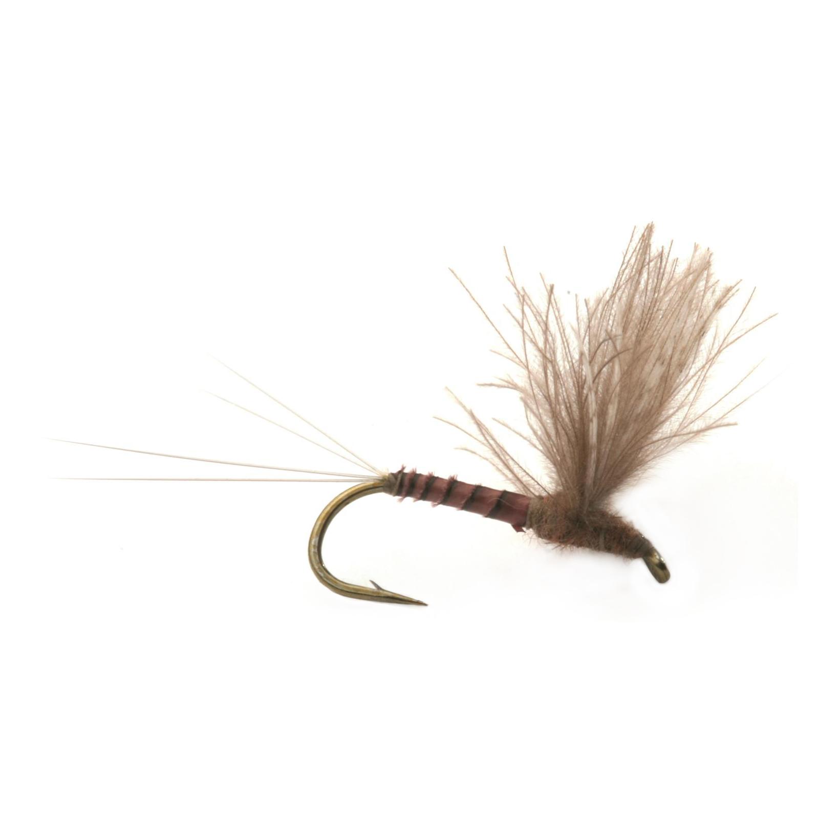 CDC Biot Comparadun Quill Gordon - Trockenfliege