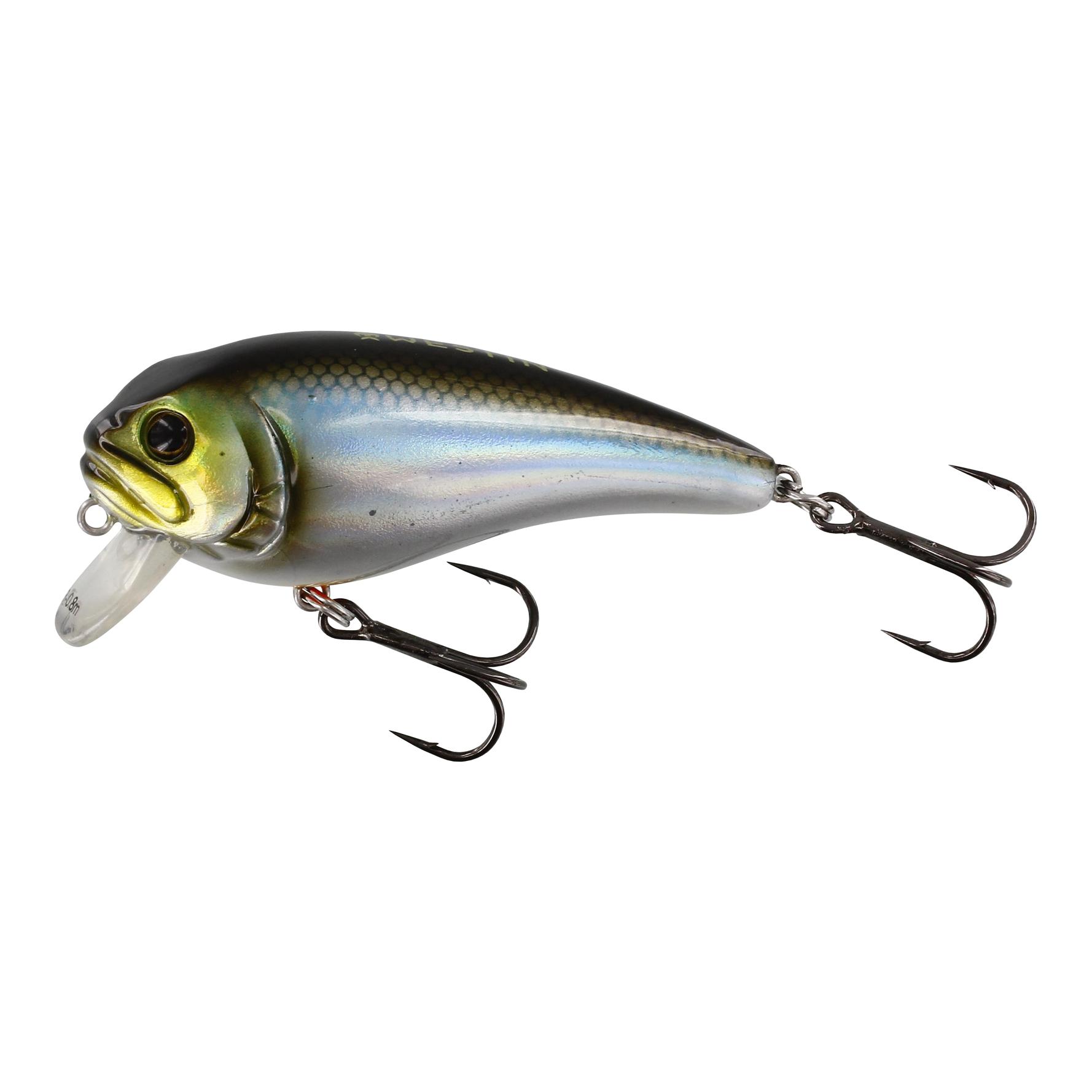 Blueback Herring