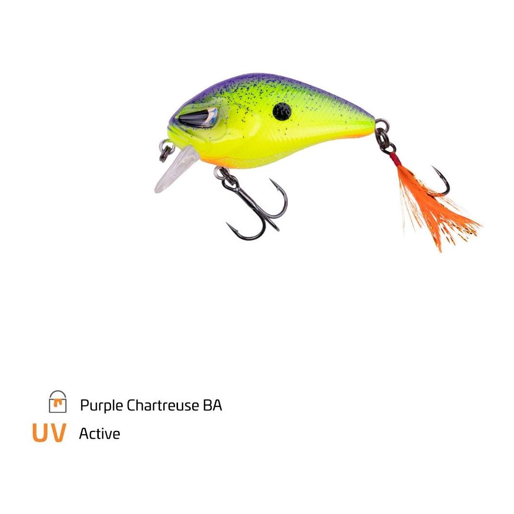 Purple Chartreuse
