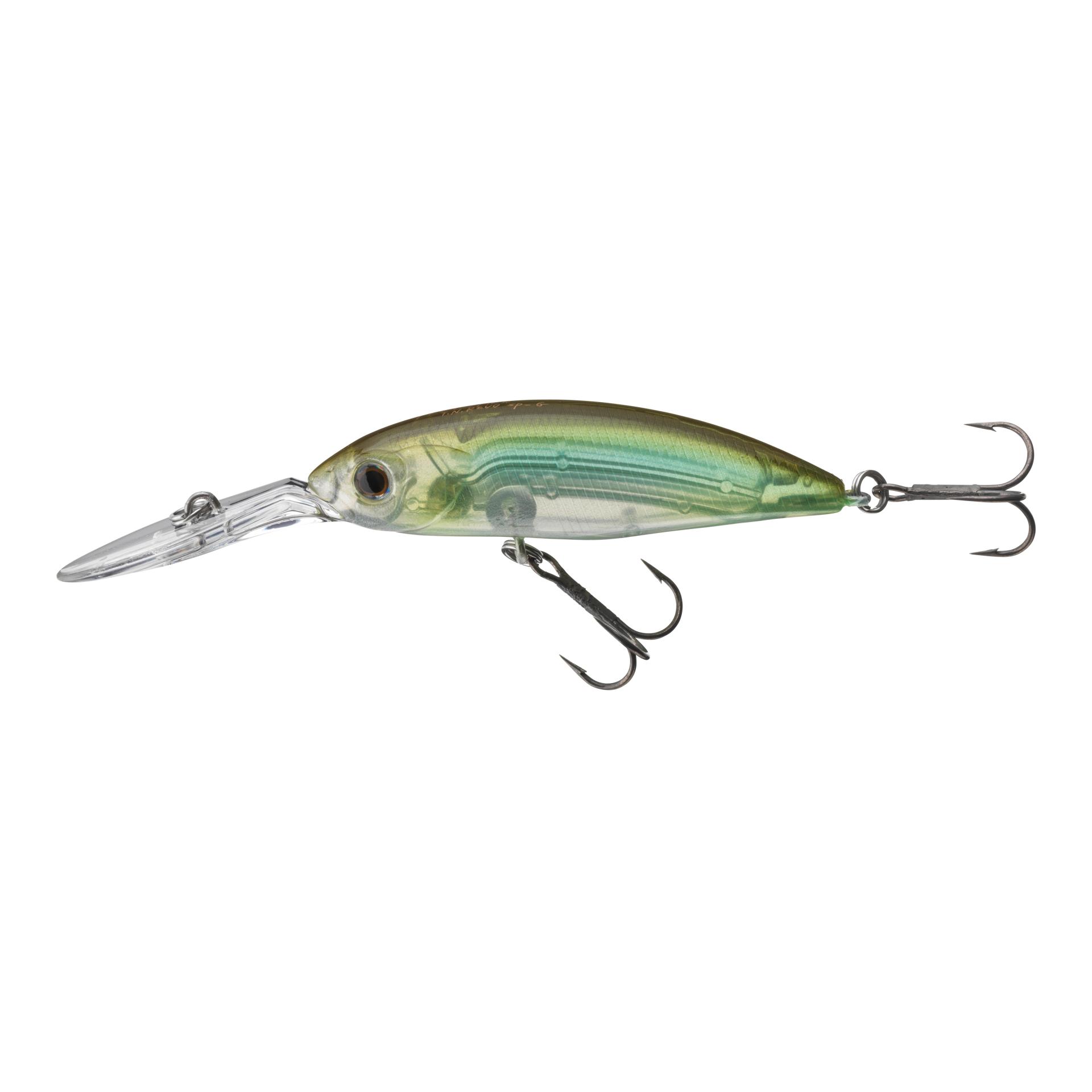 See Trough Shad