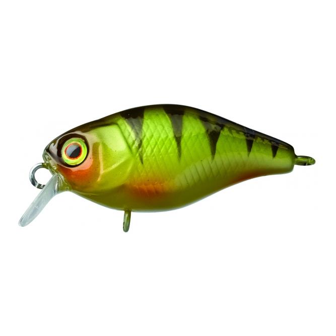 Illex Chubby 38 Perch – Poisson nageur