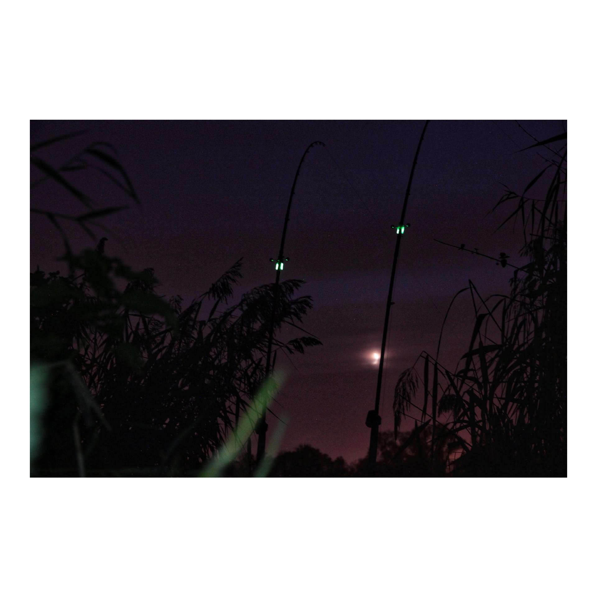 Bigcat Hunter Light Sticks Knicklichter