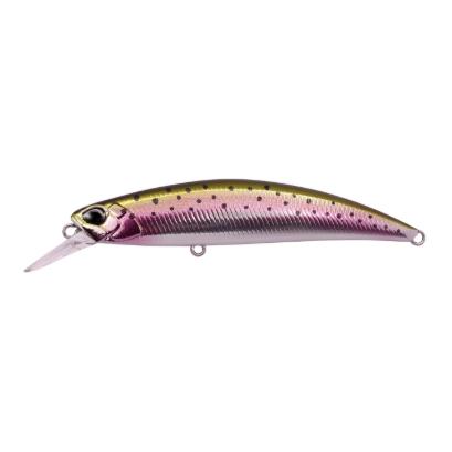 Rainbow Trout