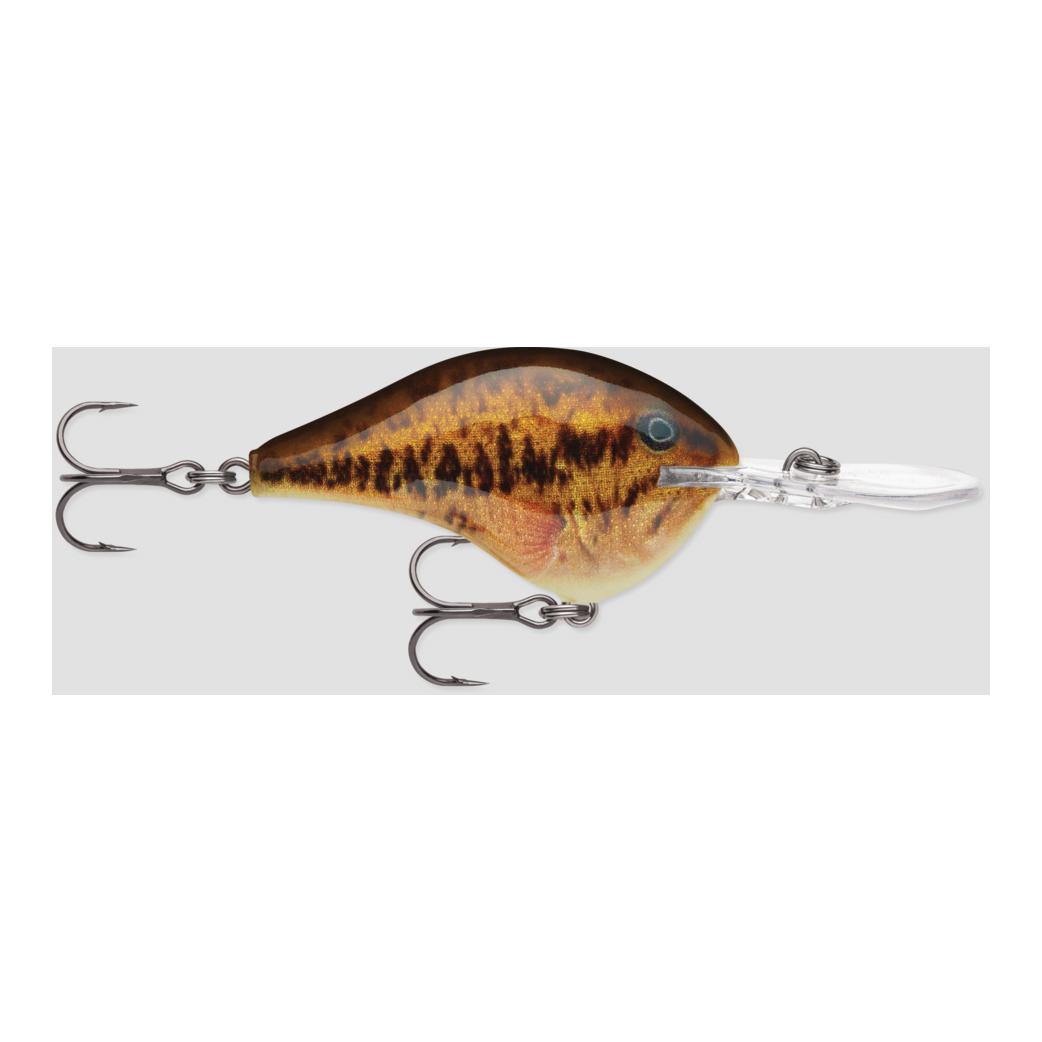 Live Smallmouth Bass