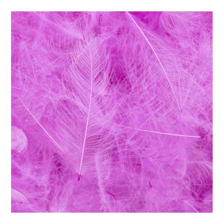 Baby Pink Light